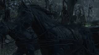 Bloodborne how to use Cainhurst summons [upl. by Ettezzus750]