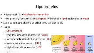 Lipids Classification  Lecture 7c [upl. by Merce]