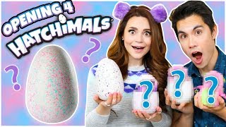 OPENING 4 HATCHIMALS Hatching Fun Surprise Eggs [upl. by Allets]