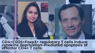 Regulatory T cells induce cytokine deprivation mediated apoptosis of effector CD4T cells [upl. by Sams]