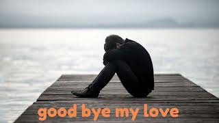 good bye my love  Sad Song  latin emotional acoustic  English Song [upl. by Bohon]