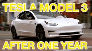 The TRUTH About Tesla Model 3 After 1 Year [upl. by Tersina]