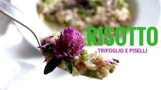 TRIFOGLIO ROSSO  risotto fiori e piselli RICETTE DI GABRI Kitchen Brasita [upl. by Arola365]