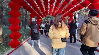 Ditan Park Beijing Chinese New Year Dragon Color Chinese Spring Festival ChineseNewYear [upl. by Arait]