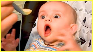 Cutest Baby Excited To Food  Cute Baby Video  Funny Moment [upl. by Castle]