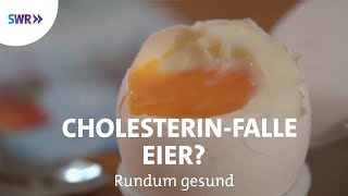 Zuviel Cholesterin durch Eier  Rundum gesund [upl. by Scharaga138]