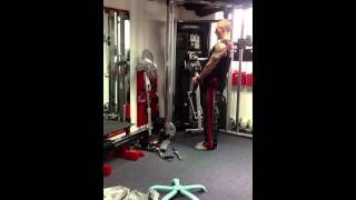 Life Fitness Cable Machine Workout Biceps [upl. by Dlonra181]