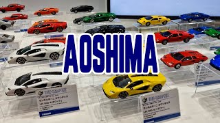 Aoshima at All Japan Model amp Hobby Show 2024 [upl. by Alphonso498]