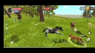 Играем лошадь 🐎 Wild craft 🌳 [upl. by Imoyn]