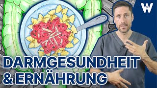 Gesunde Ernährung für den Darm Darm stärken für eine gesunde Darmflora amp funktionierendes Mikrobiom [upl. by Neesay]