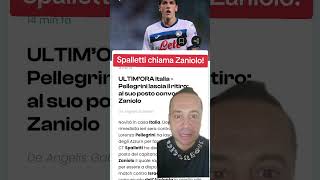 Spalletti chiama Zaniolo [upl. by Namlaz]