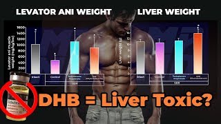 DHB Dihydroboldenone  The Most Overhyped And Liver Toxic Injectable Steroid [upl. by Soluk]