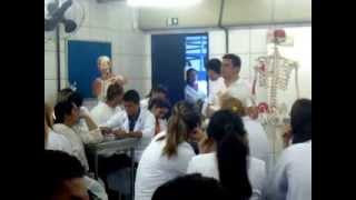 anatomia aparelho locomotor estacio 20132 aula 1 [upl. by Lenci]