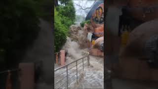 dhareshwar Mahadev ful barish date 5 August 2024dhareshwar mahadev special video viralvideo [upl. by Ymaj]