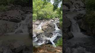 Tungareshwar waterfall Vasai  O sathi chal  Trekking place in Mumbai trekking waterfall mumbai [upl. by Dleifniw695]