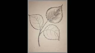 Rose leafart artwork beginnersart pencildrawing easy artsbyswati [upl. by Anitnuahs520]