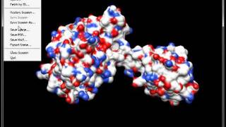 Chimera Molecule Surface Export [upl. by Phil106]