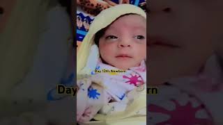 Day 12th Newborn babyshorts shortsfeed youtubeshorts lyrics song viralvideocutebabycartoon [upl. by Berardo]