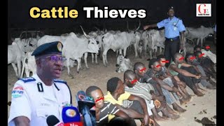 Police Arrest Cattle Thieves in the Gambia [upl. by Asiluy]