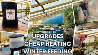 Winter Pond Prep Polytunnel Upgrades Affordable Heating amp Winter Feeding [upl. by Etteraj670]