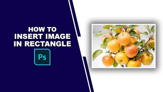 How to insert image in rectangle in photoshop [upl. by Burt]