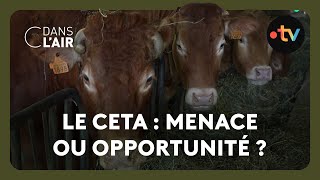 Les conséquences du CETA sur les filières agroalimentaires  Reportage cdanslair 15112024 [upl. by Onairpic]