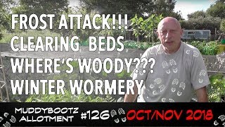 MuddyBootz Allotment 126  Frost Attack  Bed Clearing  Wheres Woody  Winter Wormery [upl. by Eneryc]