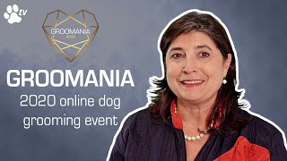 Participate in Groomanias 2020 online dog grooming event  TRANSGROOM [upl. by Bernadette271]