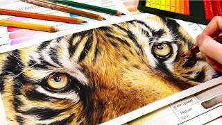 How To Use Watercolor Pencils for REALISM  Beginners Guide to Watercolor Pencils [upl. by Atinaw]