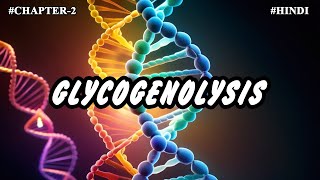 Chapter 2  Metabolism Of Carbohydrates Part7  Glycogenolysis [upl. by Hennebery]