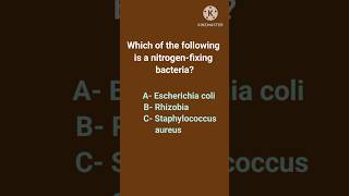 Nitrogen fixing bacteria Microbiology quiz youtubeshorts biology microbiology shorts [upl. by Narol]