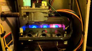 Carrier Weathermaker 8000 Gas Furnace Start Up and Operation [upl. by Cence950]