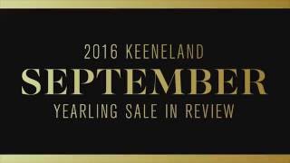 2016 Keeneland September Yearling Sale in Review [upl. by Corina]