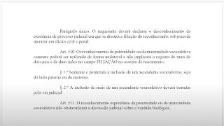 ART 505 ao 515 PARENTSOCIOAFETIVA REPROD ASSISTIDA [upl. by Subocaj]