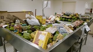 See What Really Happens To The Illegal Food Confiscated At US Customs [upl. by Pietro]