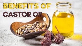 The Amazing Benefits and Uses of Castor Oil [upl. by Oicangi]