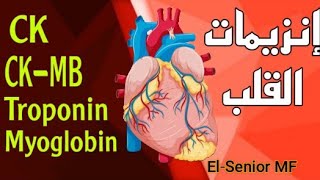 شرح إنزيمات القلب بطريقة مبسطة وسهلة CardiacenzymesElSenior MF [upl. by Denney919]