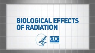 Biological Effects of Radiation [upl. by Ecreip764]