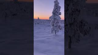 🇫🇮Saariselkä is the northernmost resort in Lapland Finland Finland explore اکسبلور trend [upl. by Kenric701]