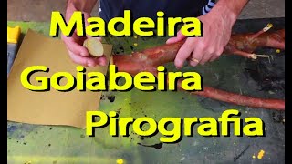 Madeira de Goiabeira Pirografia [upl. by Kaya580]