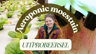 Part 1 Mijn eerste poging met een AEROPONIC TOREN  Binnen moestuinieren [upl. by Jeannie78]