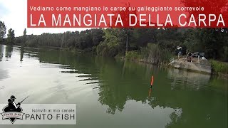 La mangiata della carpa [upl. by Ev]