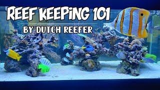 Reef Keeping 101  Copperband Butterflyfish Care Guide [upl. by Yrocal854]