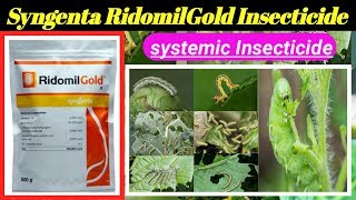 RidomilGold fungicide  syngenta  metalaxy and mancozeb  syngenta ridomilgold hindi [upl. by Audrye]