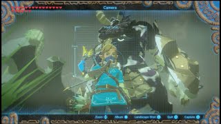 The Definitive Guide to Fighting Lynels in BOTW and TOTK [upl. by Hardy615]