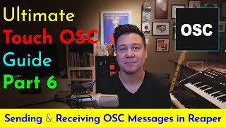 Sending amp Receiving OSC Messages in Reaper Ultimate Guide to TouchOSC [upl. by Song]