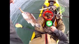 Blackfish Fishing with Berkley Gulp while Kayak Fishing [upl. by Aleira]