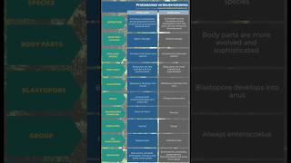 Defference between Protostomes and Deuterostomes ।। Biology ।। Zoology।। [upl. by Brunhild]