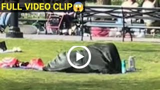 Nyc Park Blanket Couple Video  Nyc Park Video  Nyc Park Couple Video  Nyc Park Real Video 😍 Ali [upl. by Enilorac]