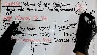 Cleavage  Embryology  Lecture No 01  Developmental Biology  Chapter No 05  BS Zoology  MSc [upl. by Ayotaj864]